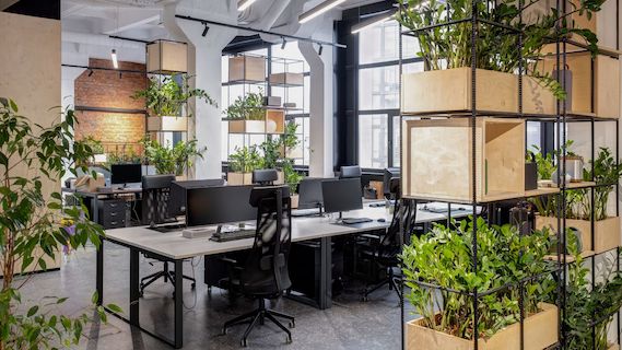 Paysagisme intérieur et extérieur Luxembourg services Livange